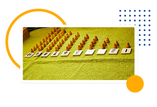 Curriculum Image Shree Vidya